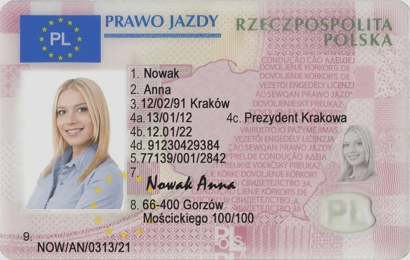 Ceny egzaminów na prawo jazdy – ile kosztuje spełnienie marzeń o własnym aucie?