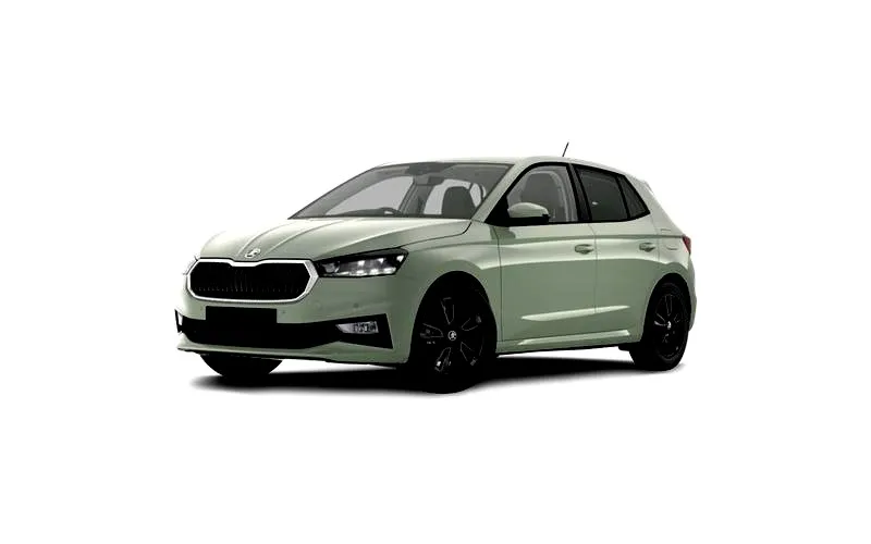 Skoda Fabia: jak wyjąć akumulator bezpiecznie i bez zbędnych problemów