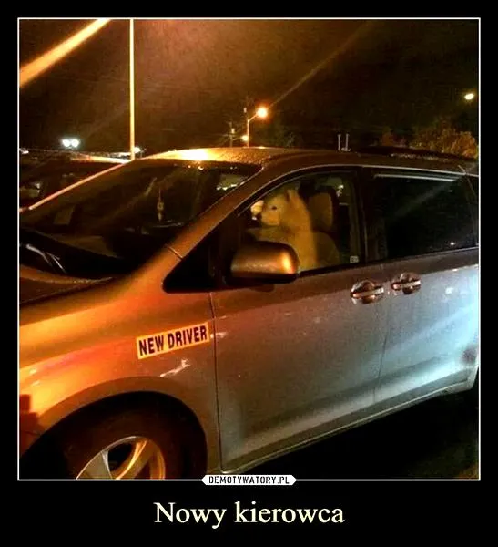 Formalności po zdaniu