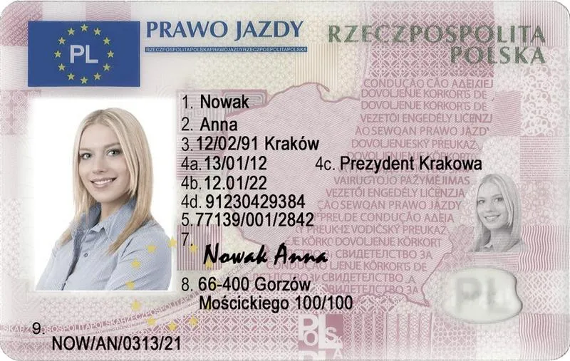 Nauka teorii na prawo jazdy