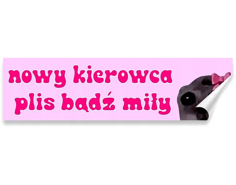 Prawo jazdy