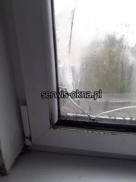 Przewodnik dla kierowców