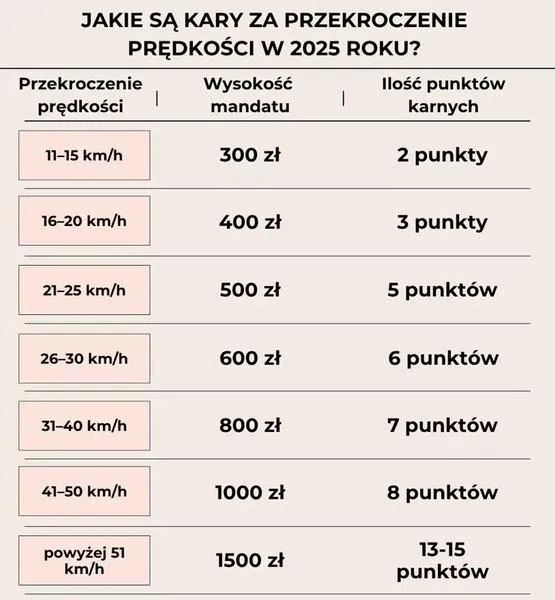 Punkty karne