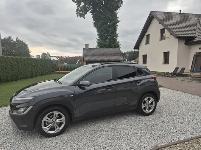 Skuteczne metody na mrówki