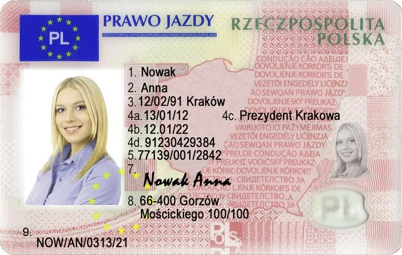 Wyrobienie prawa jazdy online