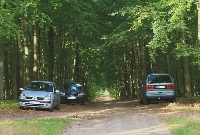 Znalezienie samochodu w lesie